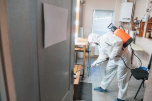 control de plagas de cucarachas - desinfectar casa