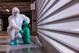 Empresa de control de plagas en Valencia - Portón