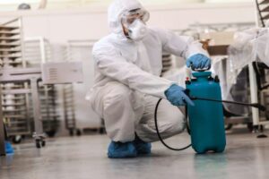 Servicios de gestión de plagas Valencia - Fumigar
