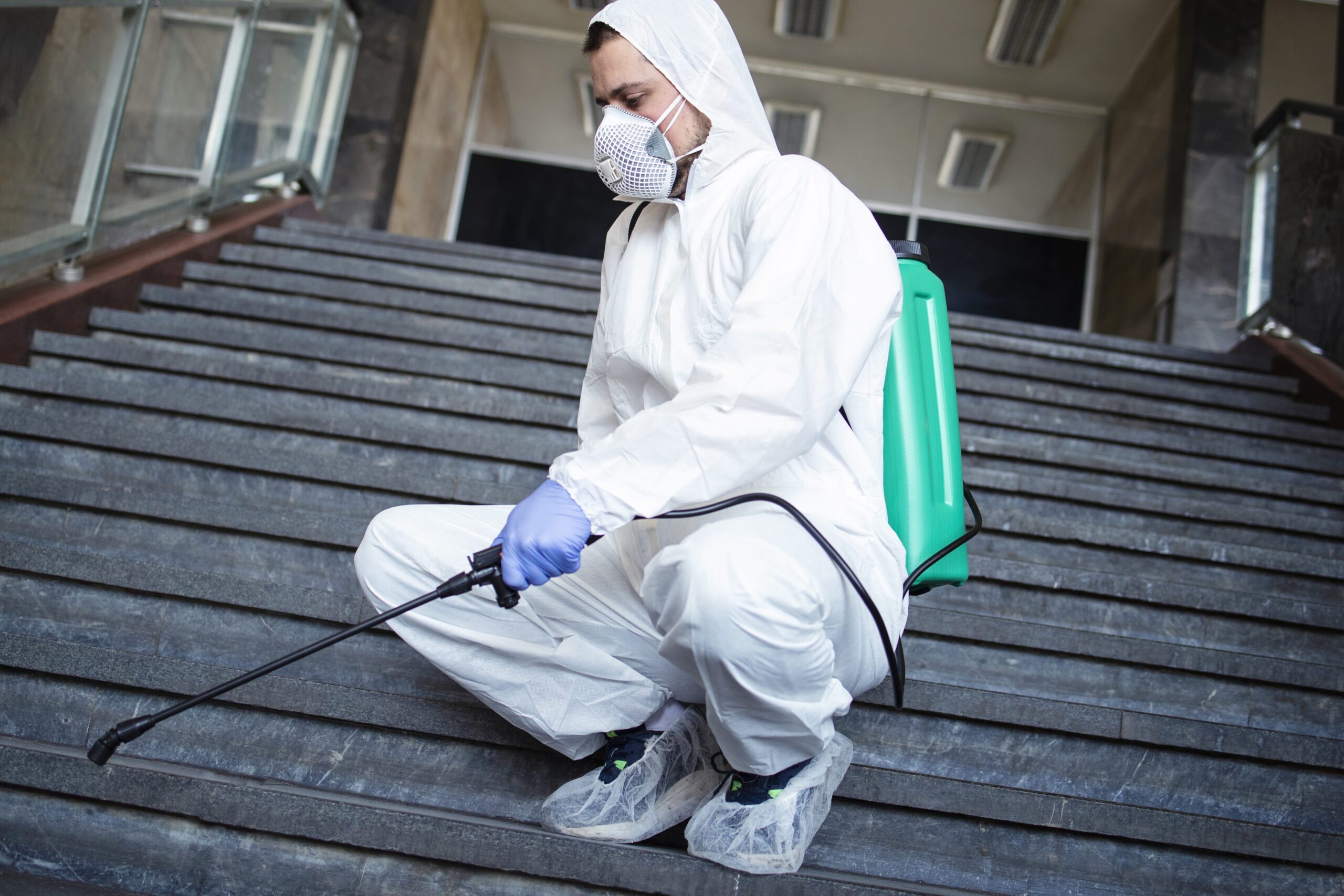 empresa para control de chinches en valencia - exteriores