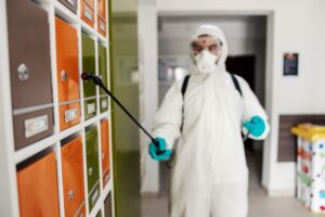 empresas-de-control-de-plagas-en-valencia-cada-espacion-scaled