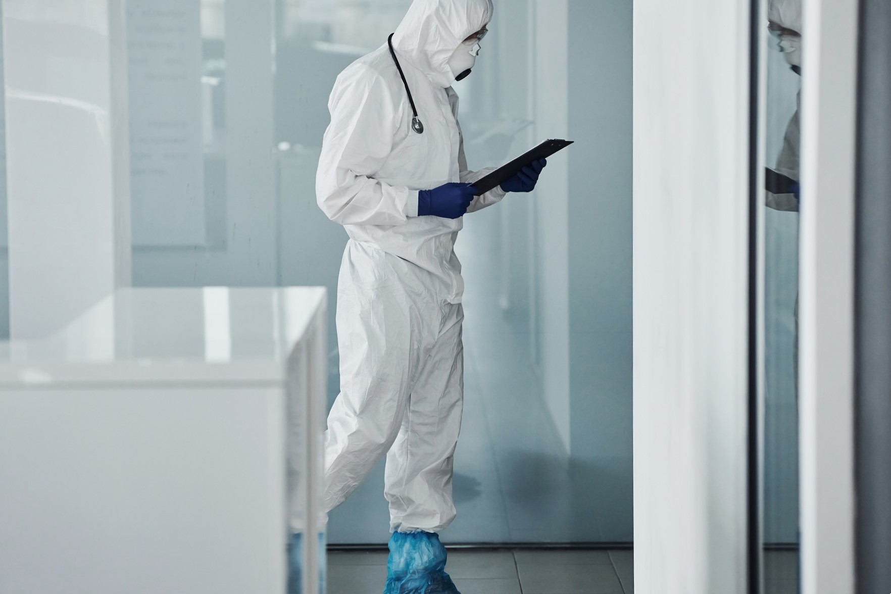 control de plagas en Valencia - clinica