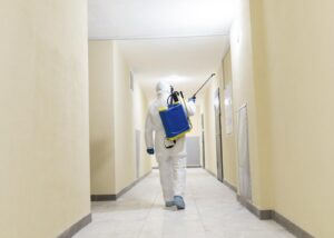 control de plagas en Valencia - pasillos