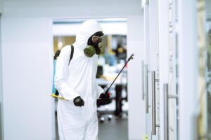 control de plagas en Valencia - puertas