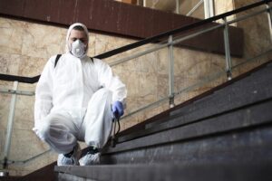 cuánto cuesta el control de plagas en Valencia - escaleras